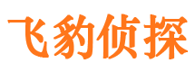 邛崃市私家侦探